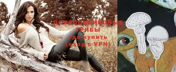 трава Аркадак