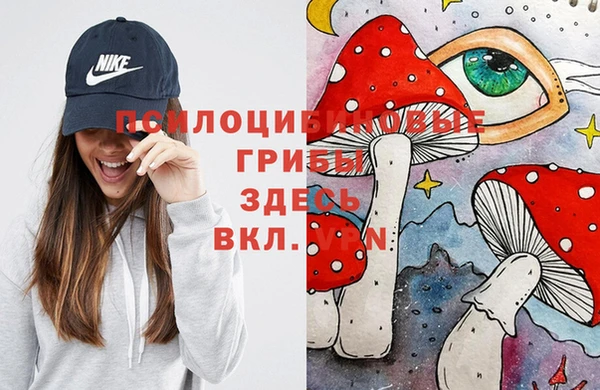 трава Аркадак