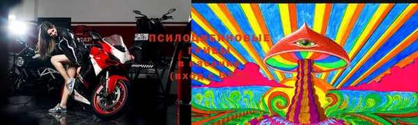 трава Аркадак