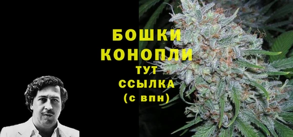 трава Аркадак