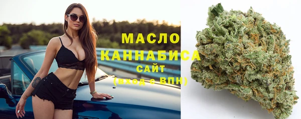 гашик Арсеньев