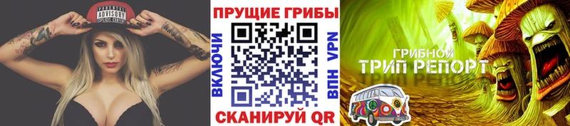 как найти   Армянск  Псилоцибиновые грибы мицелий 